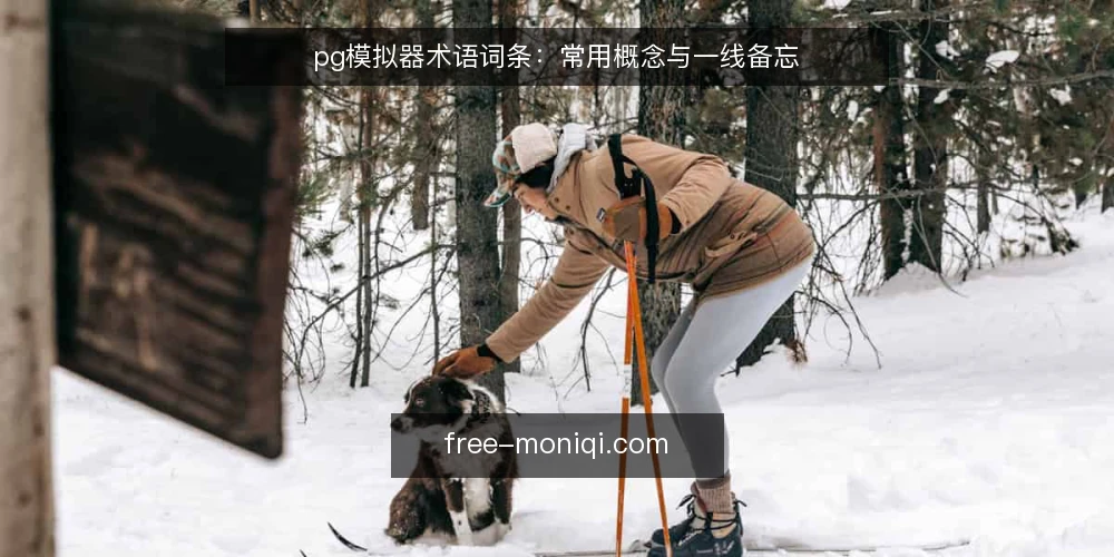 pg模拟器术语词条：常用概念与一线备忘 — 信号观察：哪些术语值得留意 配图