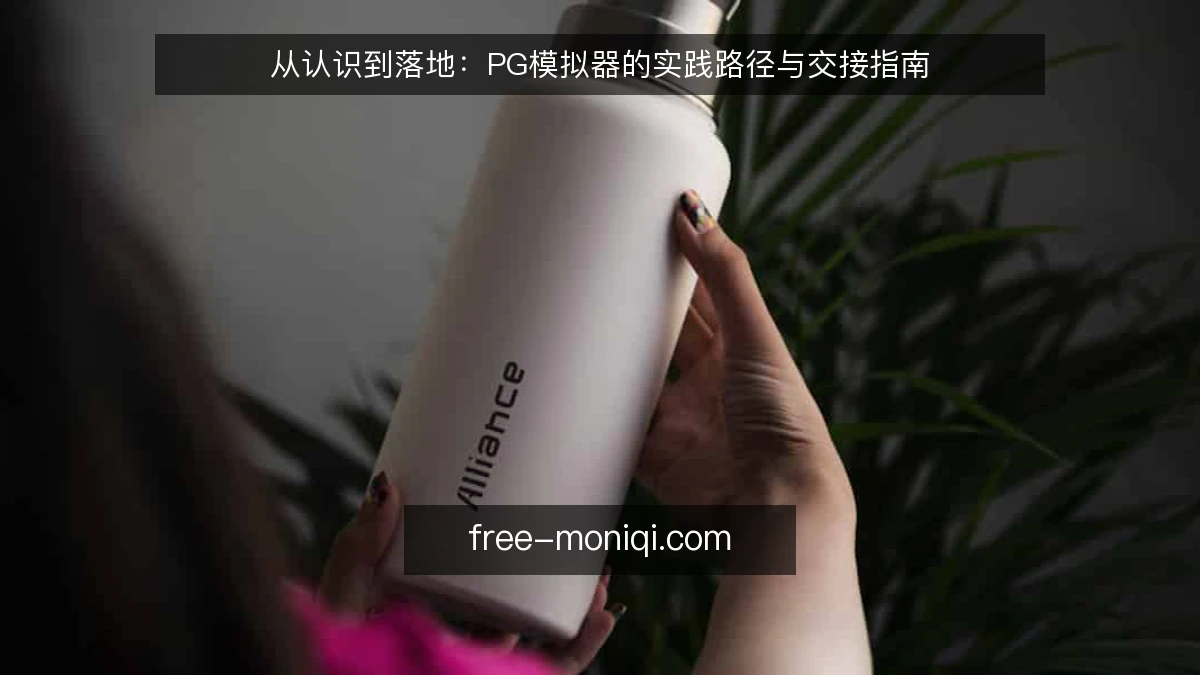 从认识到落地:PG模拟器的实践路径与交接指南