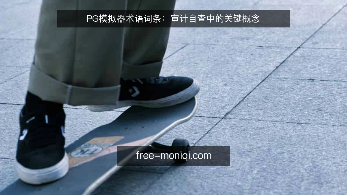 PG模拟器术语词条：审计自查中的关键概念