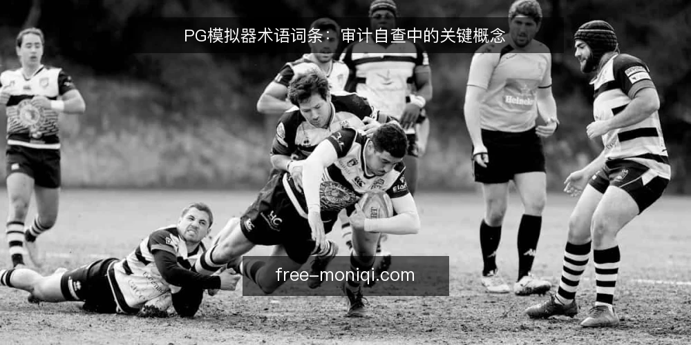PG模拟器术语词条：审计自查中的关键概念 — 为什么现在需要术语审计 配图